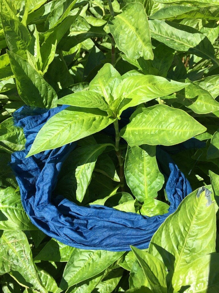 Naturally Dyed Khadi Star Baby Bib | Indigo